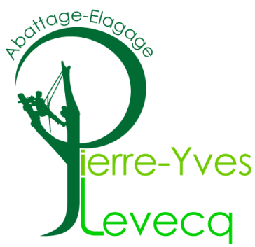 Pierre Yves Levecq